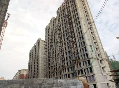 家音播報 每一次相見,都是幸福的臨近