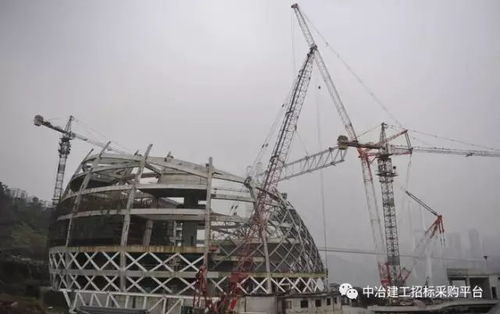 2 沙文生態(tài)科技產(chǎn)業(yè)園望達(dá)標(biāo)準(zhǔn)廠(chǎng)房項(xiàng)目應(yīng)用中心鋼網(wǎng)架 屋面系統(tǒng)工程專(zhuān)業(yè)分包